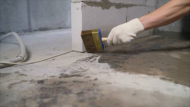 SJ Waterproofing Pros Waterproofing coverage map for Alamo, GA and surrounding area